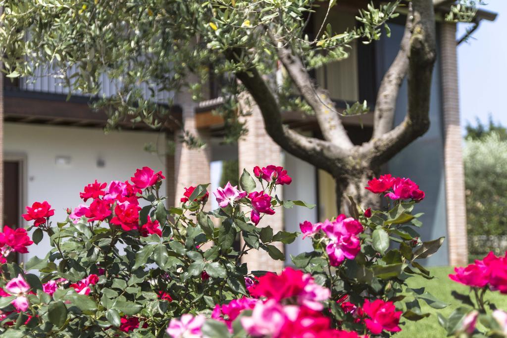 Hotel Relais Agli Olivi Lazise Kültér fotó
